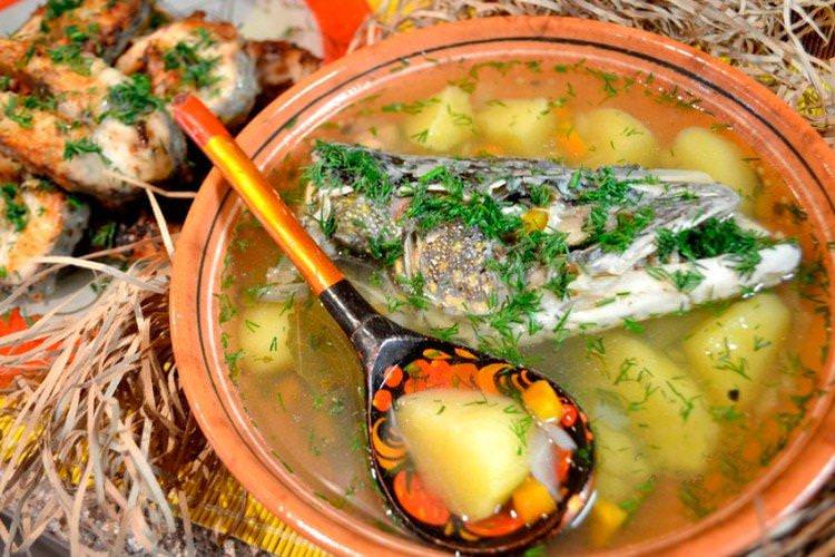 Рибний суп із щуки