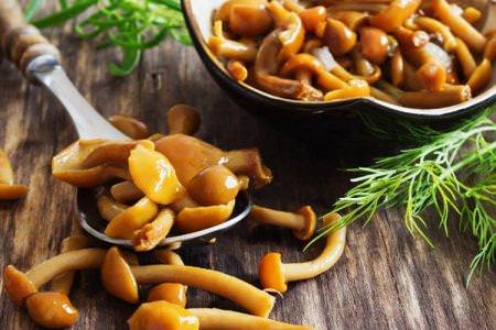 20 рецептів дуже смачних маринованих грибів